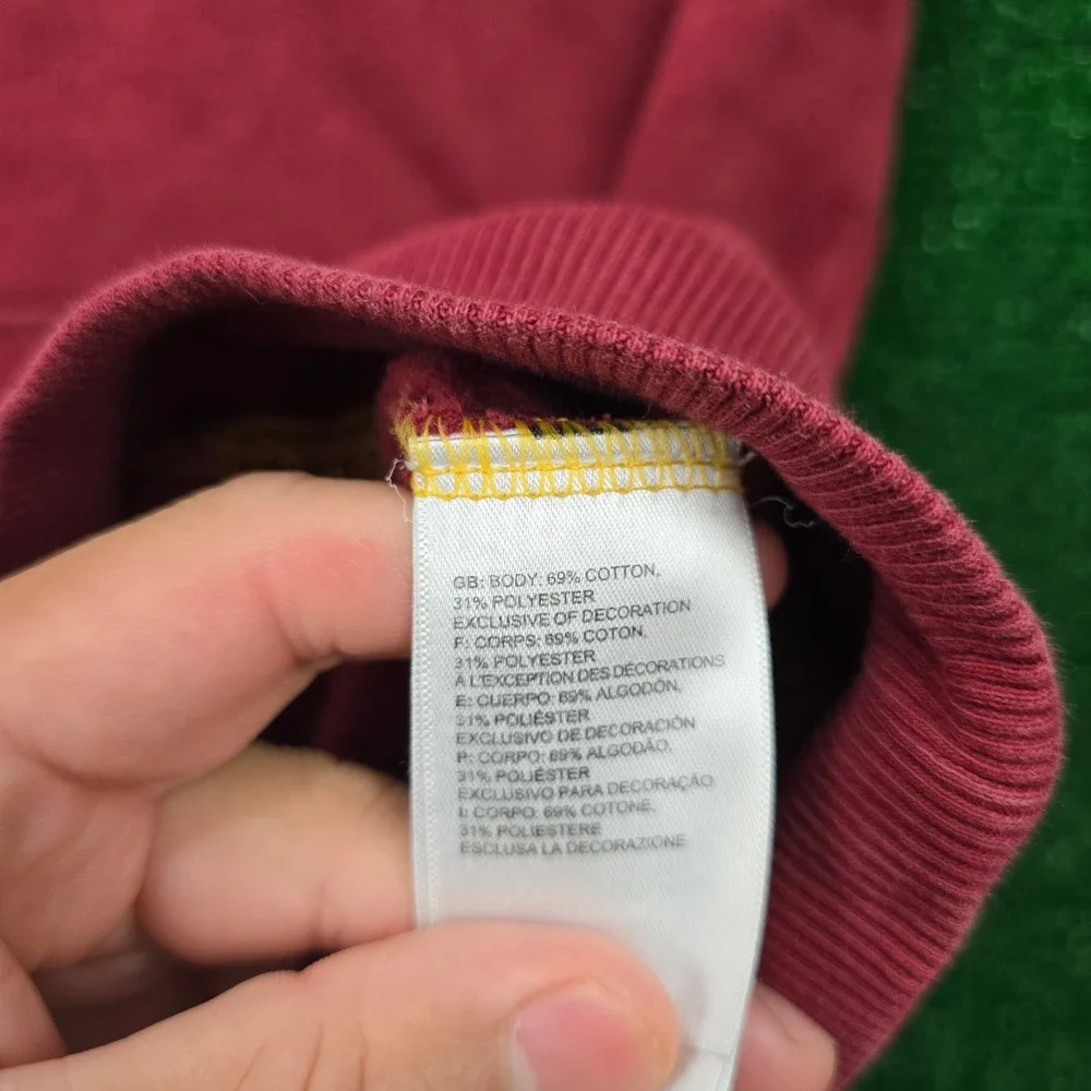 The North Face Dome Climb Graphic Hoodie Mens Large Red Pomegranate‎ Sweatshirt